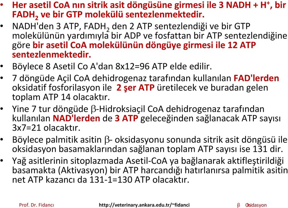 sentezlenmektedir. Böylece 8 Asetil Co A'dan 8x12=96 ATP elde edilir.