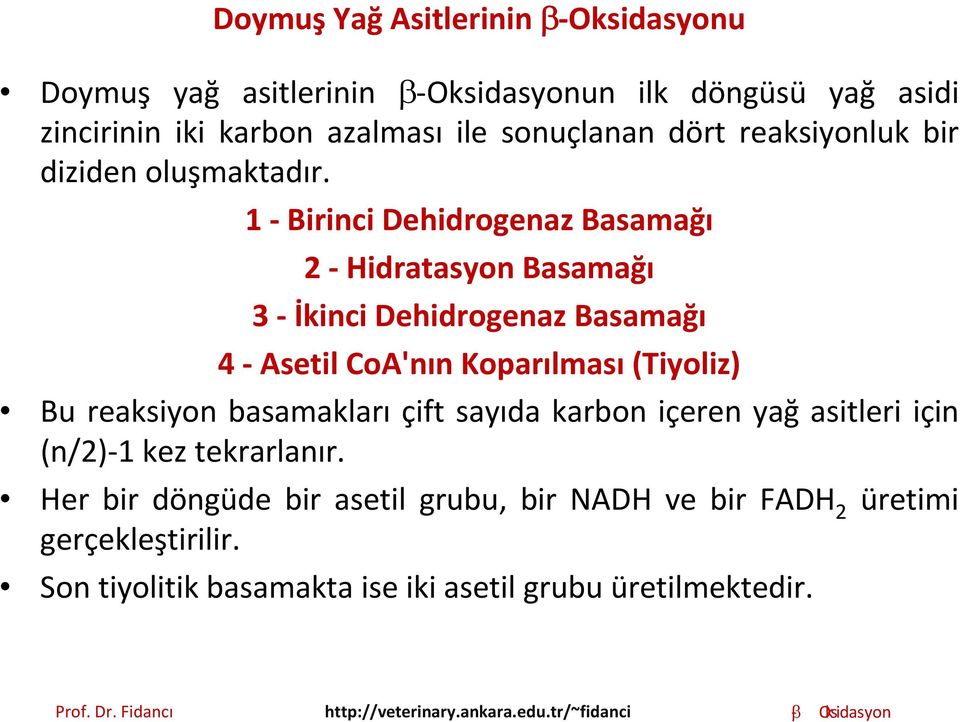 1 Birinci Dehidrogenaz Basamağı 2 Hidratasyon Basamağı 3 İkinci Dehidrogenaz Basamağı 4 Asetil CoA'nınKoparılması (Tiyoliz) Bu reaksiyon