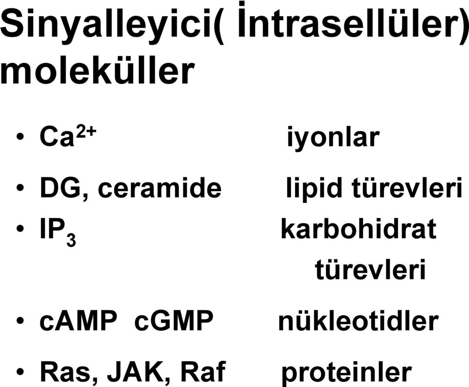 JAK, Raf iyonlar lipid türevleri