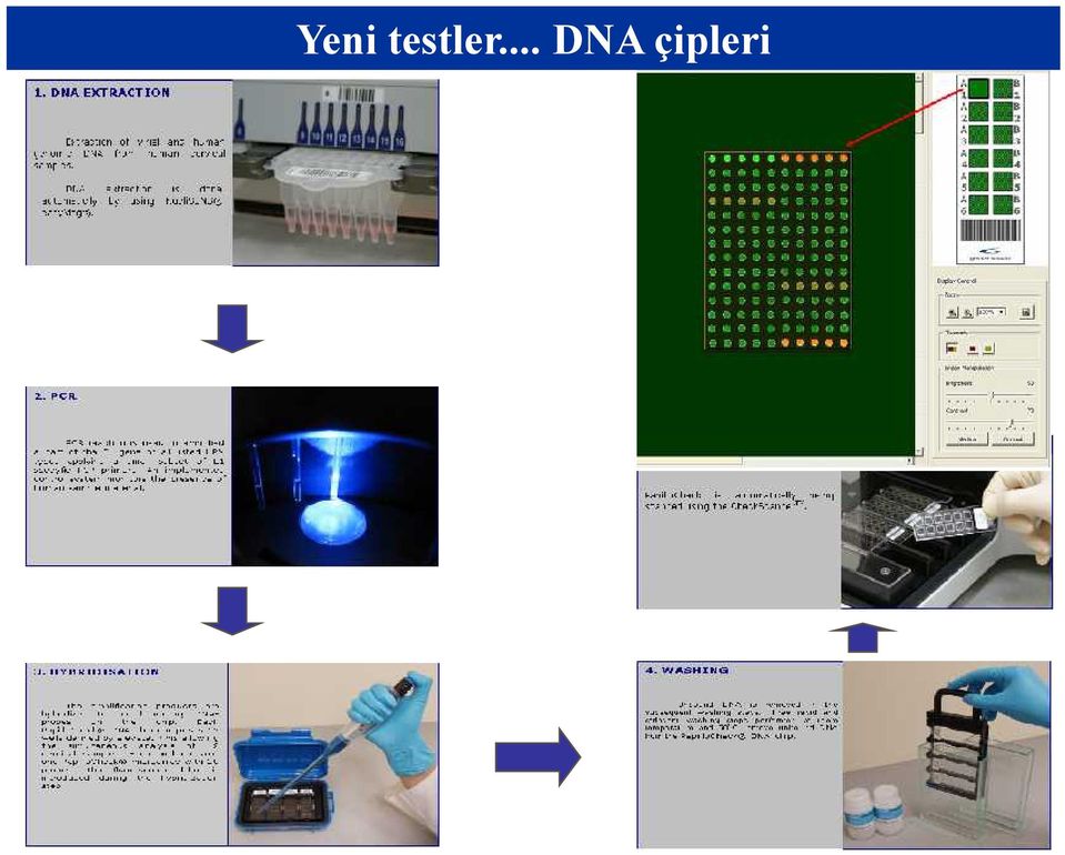 .. DNA