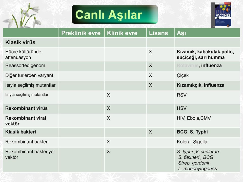 Isıyla seçilmiş mutantlar RSV Rekombinant virüs HSV Rekombinant viral vektör HIV, Ebola,CMV Klasik bakteri BCG, S.