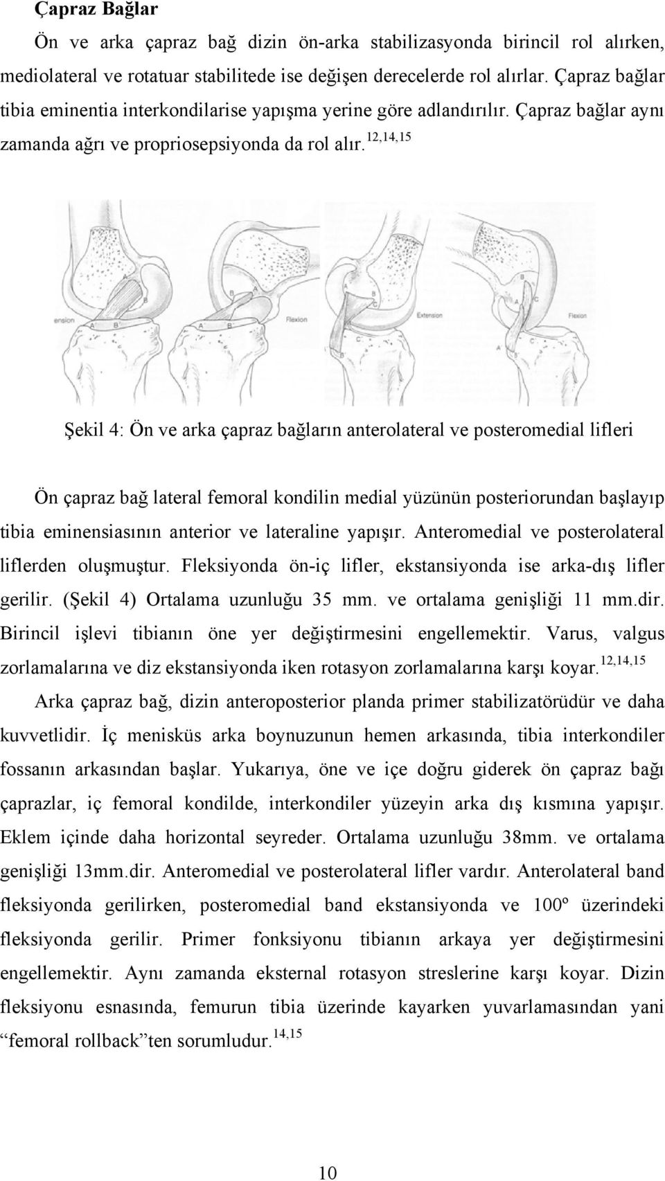 12,14,15 Şekil 4: Ön ve arka çapraz bağların anterolateral ve posteromedial lifleri Ön çapraz bağ lateral femoral kondilin medial yüzünün posteriorundan başlayıp tibia eminensiasının anterior ve