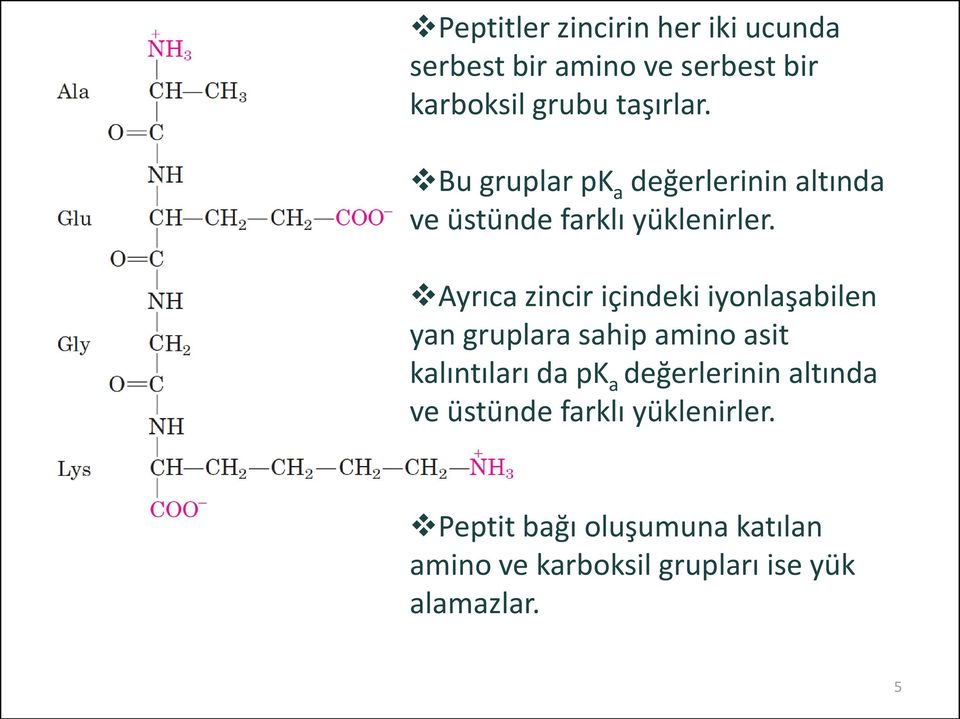 Ayrıca zincir içindeki iyonlaşabilen yan gruplara sahip amino asit kalıntıları da pk a