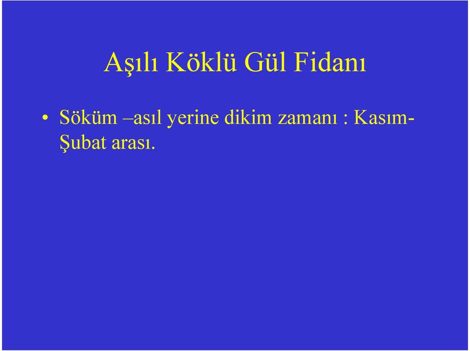 yerine dikim