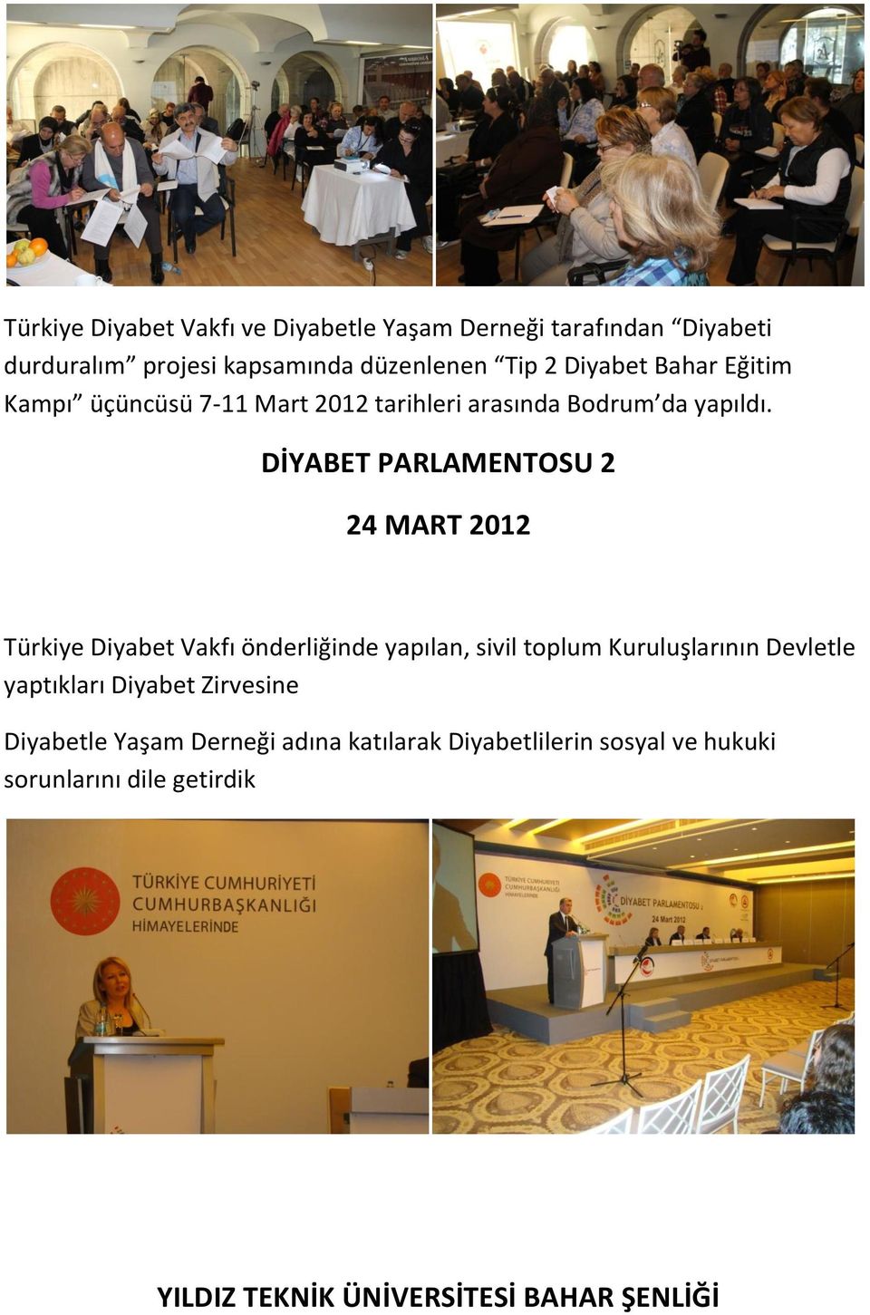DİYABET PARLAMENTOSU 2 24 MART 2012 Türkiye Diyabet Vakfı önderliğinde yapılan, sivil toplum Kuruluşlarının Devletle