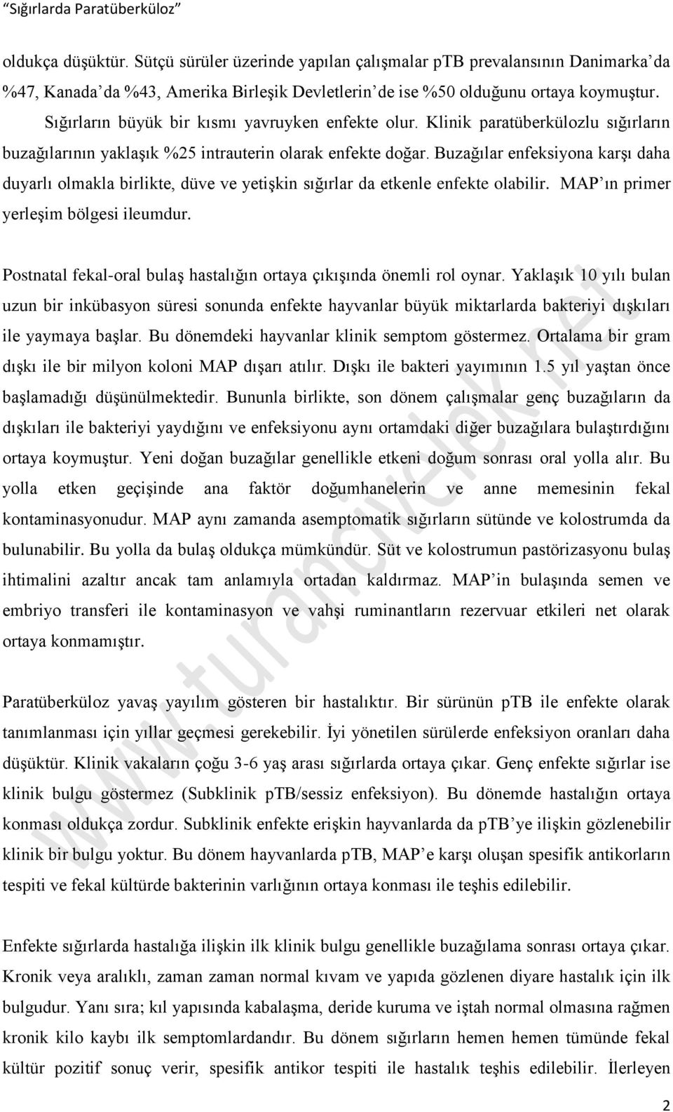 Buzağılar enfeksiyona karşı daha duyarlı olmakla birlikte, düve ve yetişkin sığırlar da etkenle enfekte olabilir. MAP ın primer yerleşim bölgesi ileumdur.