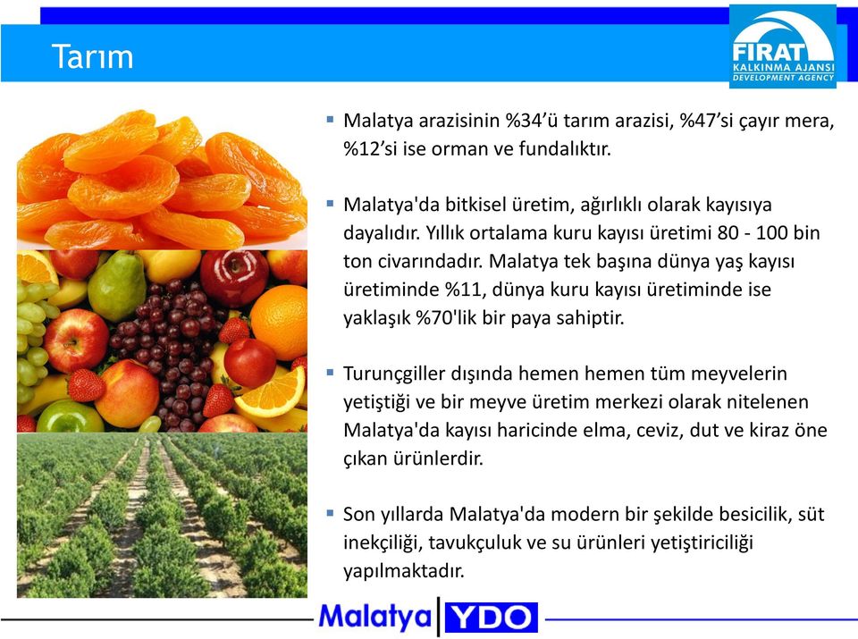 Malatya tek başına dünya yaş kayısı üretiminde %11, dünya kuru kayısı üretiminde ise yaklaşık %70'lik bir paya sahiptir.