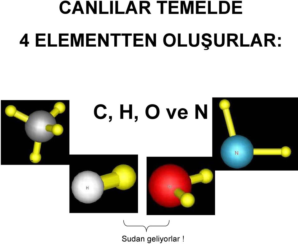 URLAR: C, H, O ve