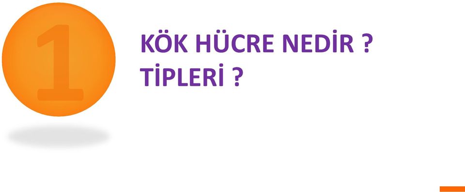 TİPLERİ?