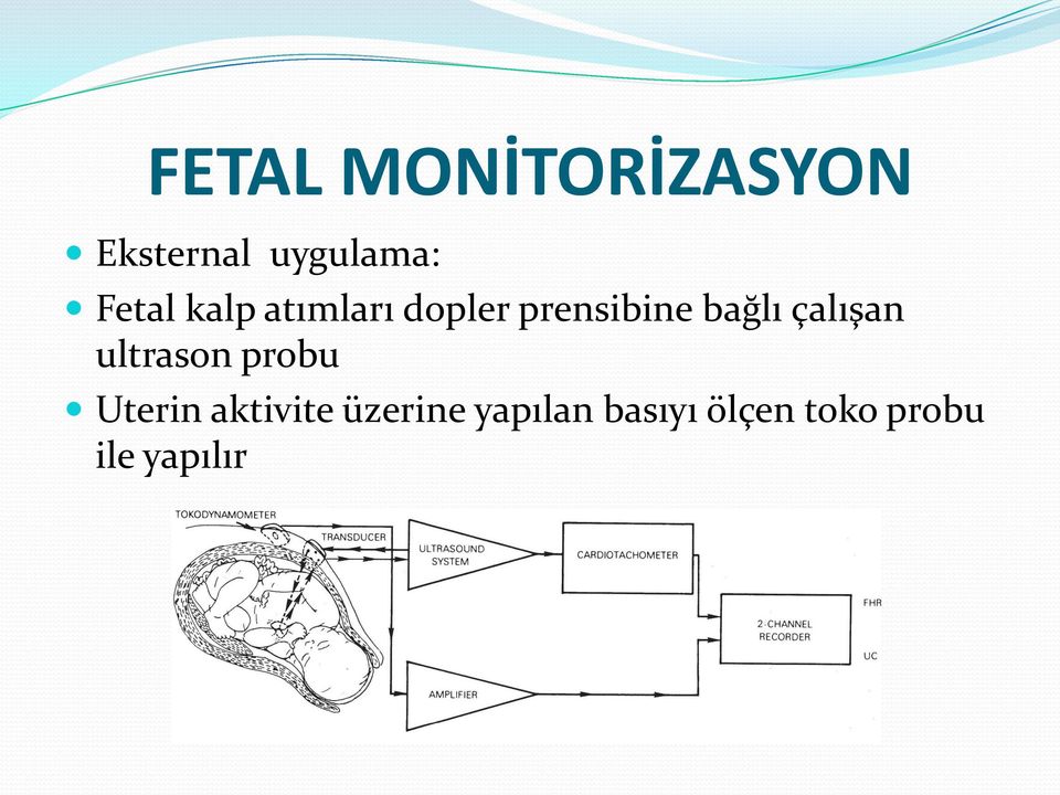 çalışan ultrason probu Uterin aktivite