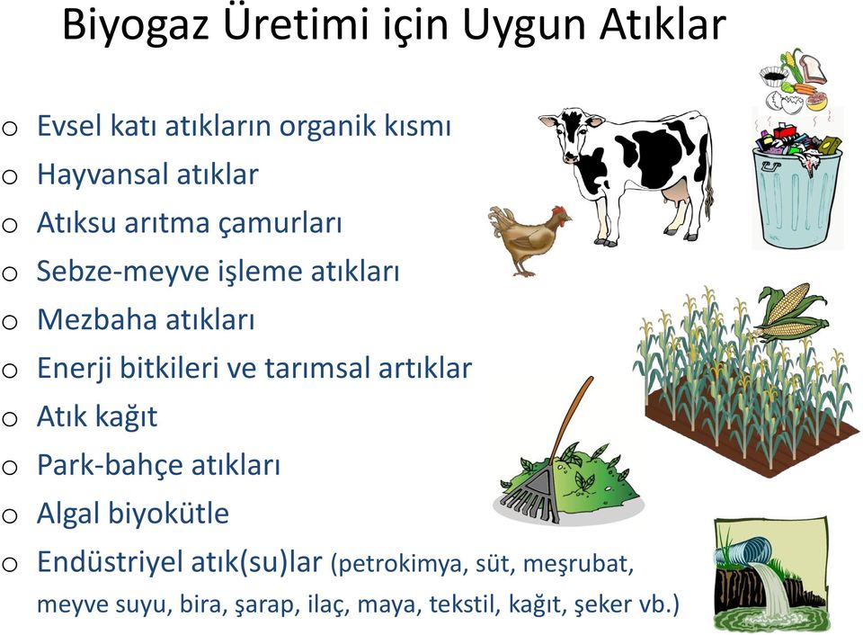 tarımsal artıklar Atık kağıt Park-bahçe atıkları Algal biykütle Endüstriyel atık(su)lar