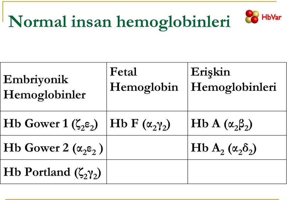 Hemoglobinleri Gower 1 (ζ 2 ε 2 ) F (α 2 γ 2 )