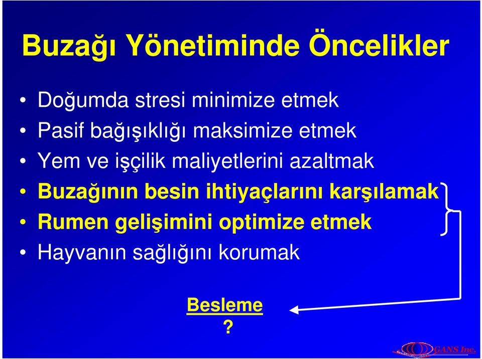 maliyetlerini azaltmak Buzağının besin ihtiyaçlarını