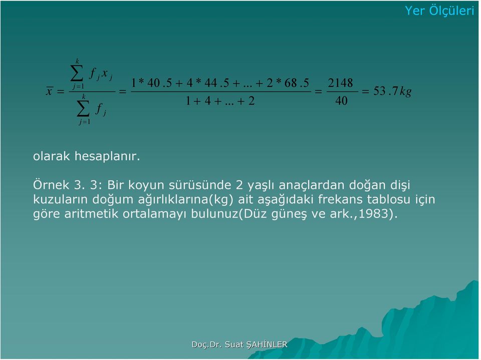 3: Bir koyu sürüsüde yaşlı aaçlarda doğa dişi kuzuları doğum