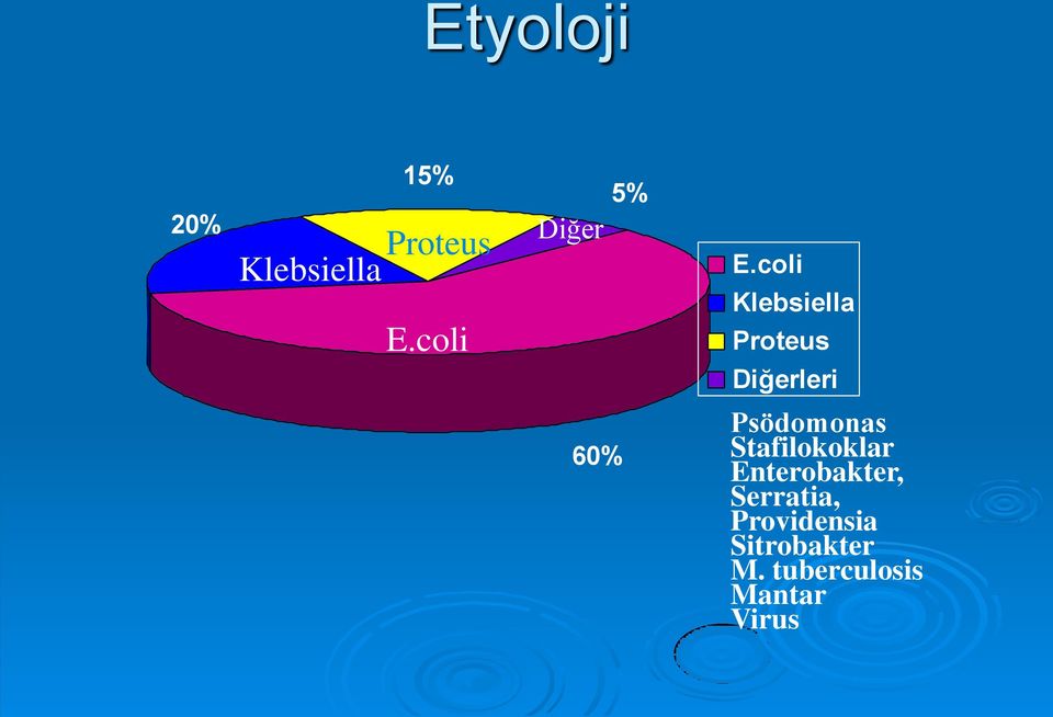 coli Klebsiella Proteus Diğerleri 60% Psödomonas