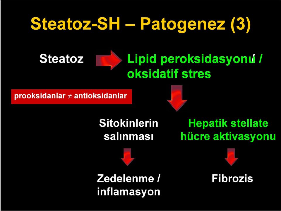 antioksidanlar Sitokinlerin salınması Hepatik