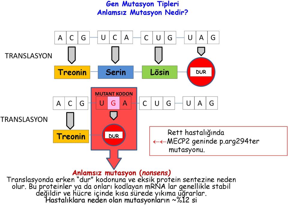 DUR Rett hastalığında MECP2 geninde p.arg294ter mutasyonu.