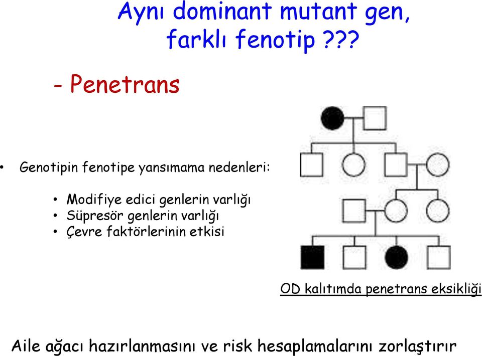 edici genlerin varlığı Süpresör genlerin varlığı Çevre faktörlerinin