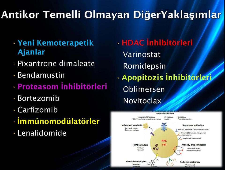 Bortezomib Carfizomib İmmünomodülatörler Lenalidomide HDAC