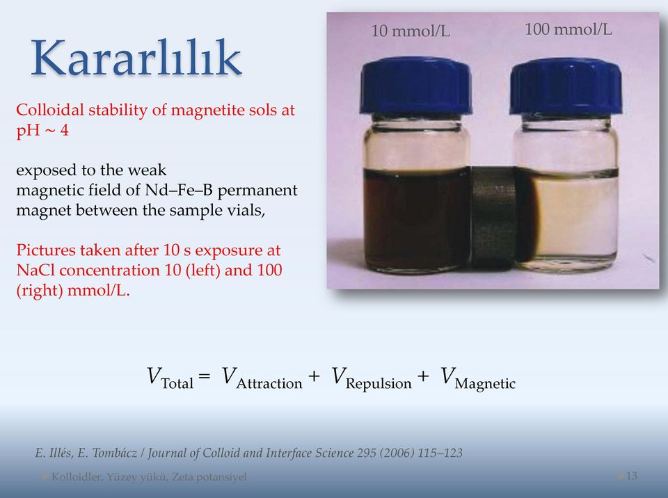 concentration 10 (left) and 100 (right) mmol/l. V Total = V Attraction + V Repulsion + V Magnetic E.