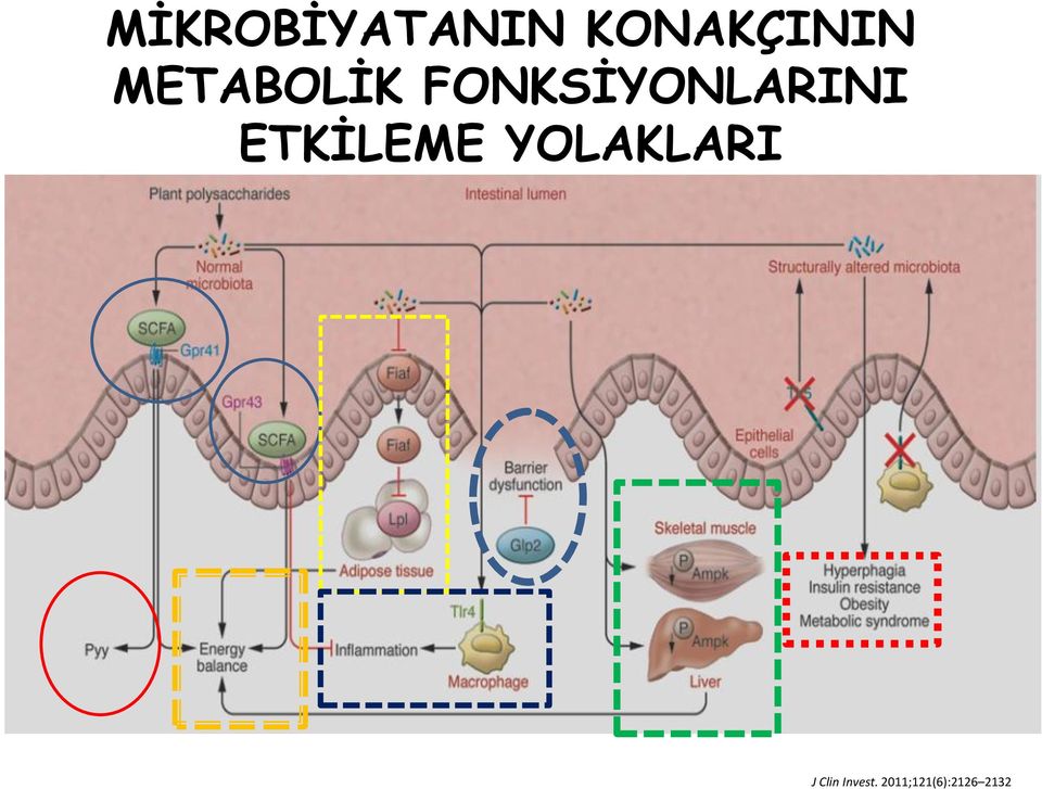 ETKİLEME YOLAKLARI J Clin