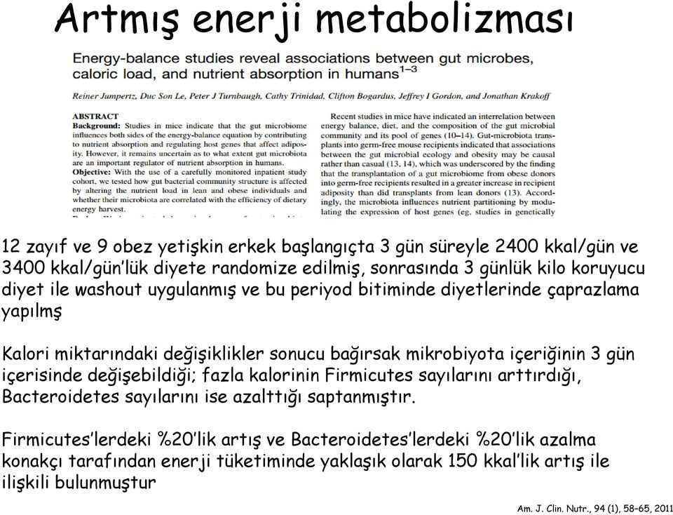 3 gün içerisinde değişebildiği; fazla kalorinin Firmicutes sayılarını arttırdığı, Bacteroidetes sayılarını ise azalttığı saptanmıştır.