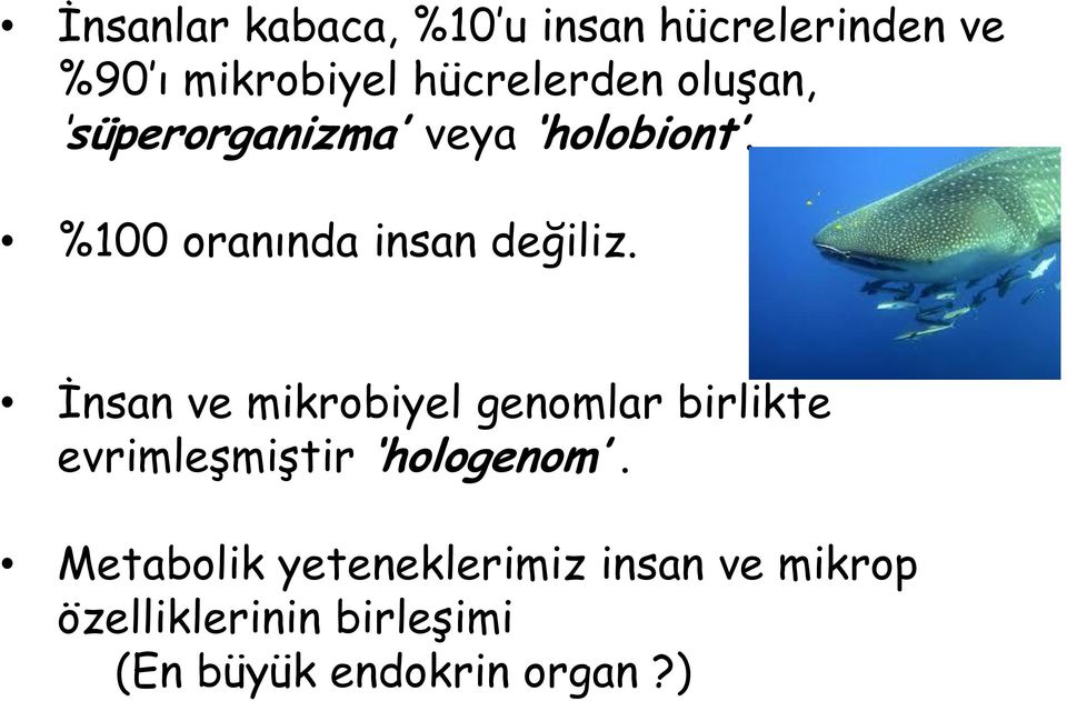 İnsan ve mikrobiyel genomlar birlikte evrimleşmiştir hologenom.