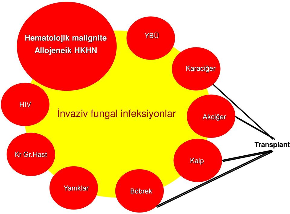 fungal infeksiyonlar Akciğer Kr