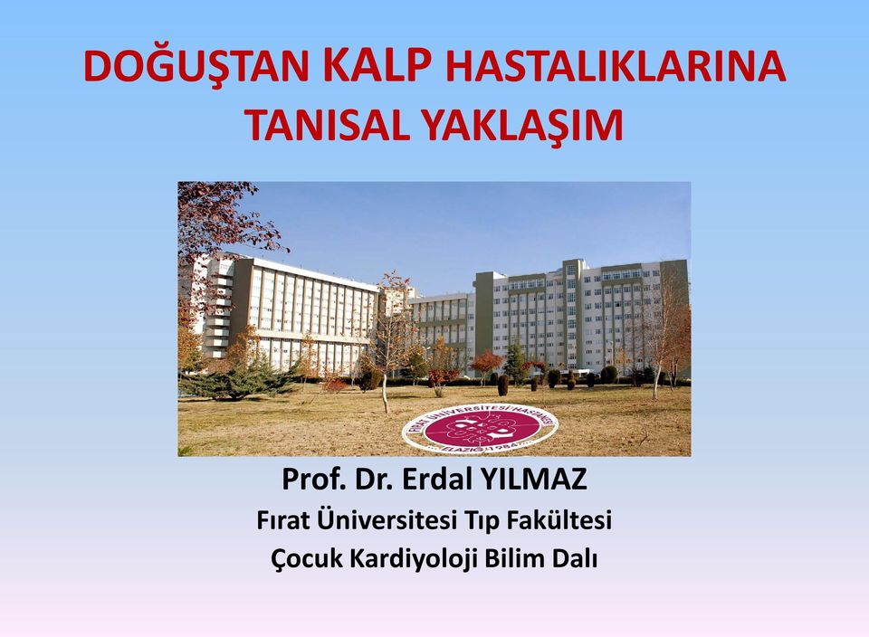 Erdal YILMAZ Fırat Üniversitesi
