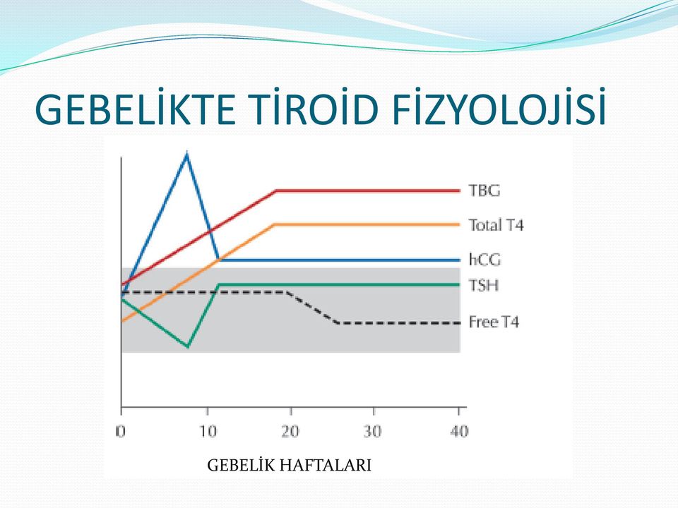 FİZYOLOJİSİ