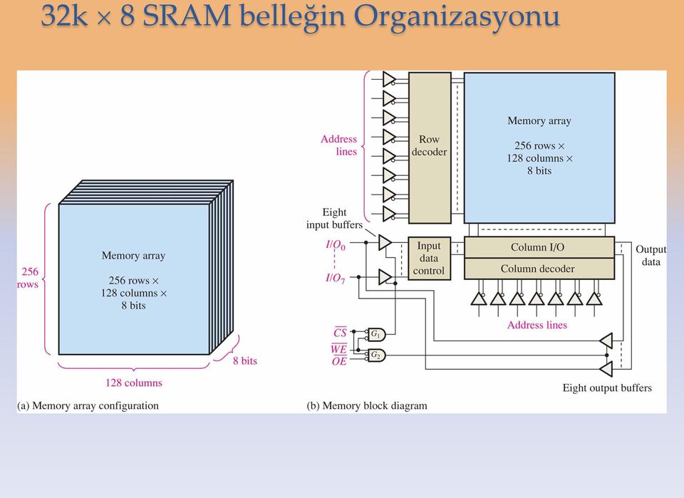 belleğin