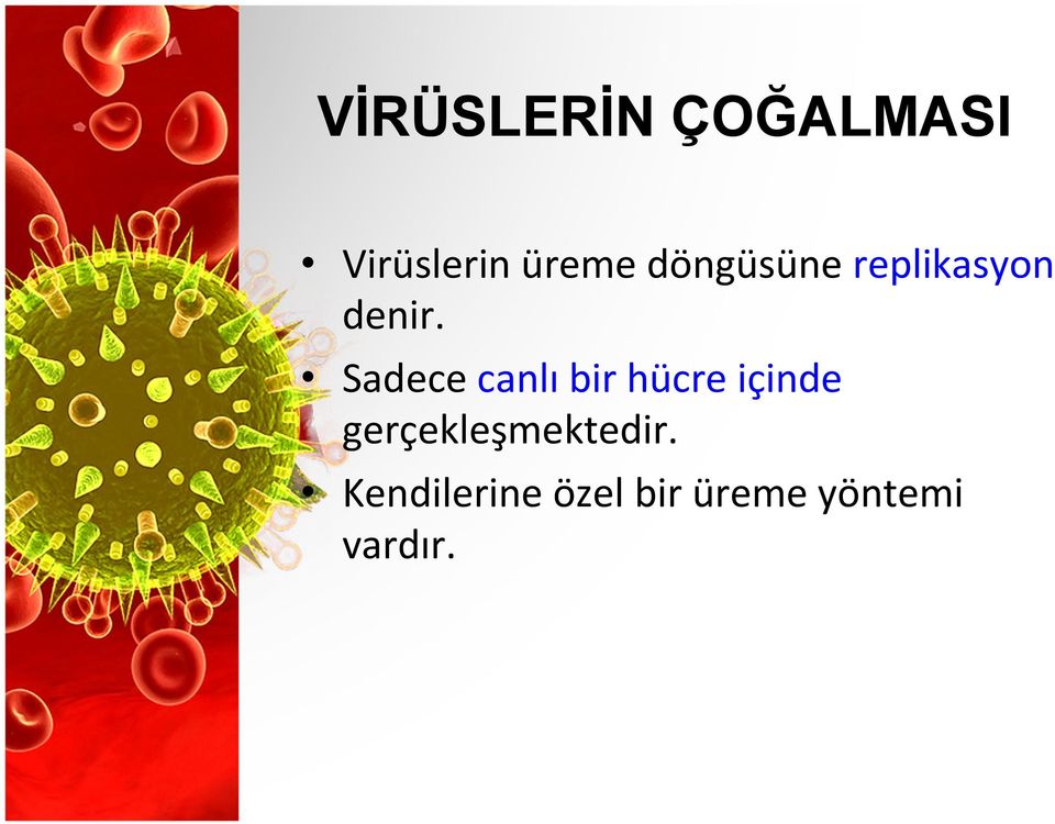 Sadece canlı bir hücre içinde