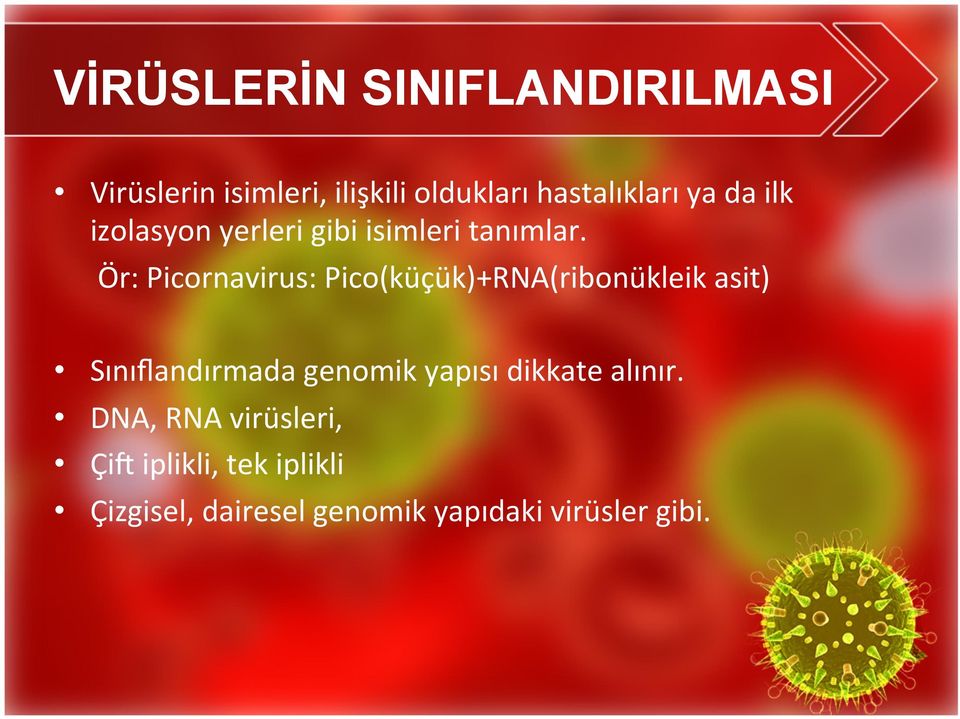 Ör: Picornavirus: Pico(küçük)+RNA(ribonükleik asit) Sınıflandırmada genomik