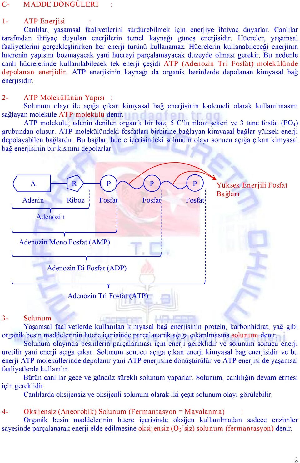 Bu nedenle canlı hücrelerinde kullanılabilecek tek enerji çeşidi ATP (Adenozin Tri Fosfat) molekülünde depolanan enerjidir.