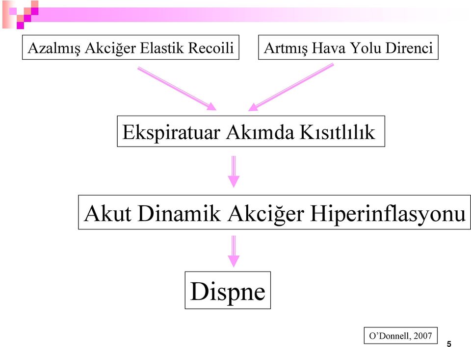 Akımda Kısıtlılık Akut Dinamik