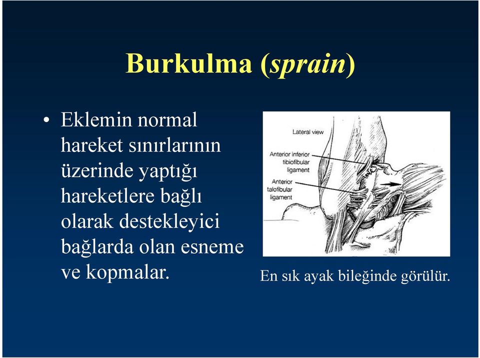 bağlı olarak destekleyici bağlarda olan