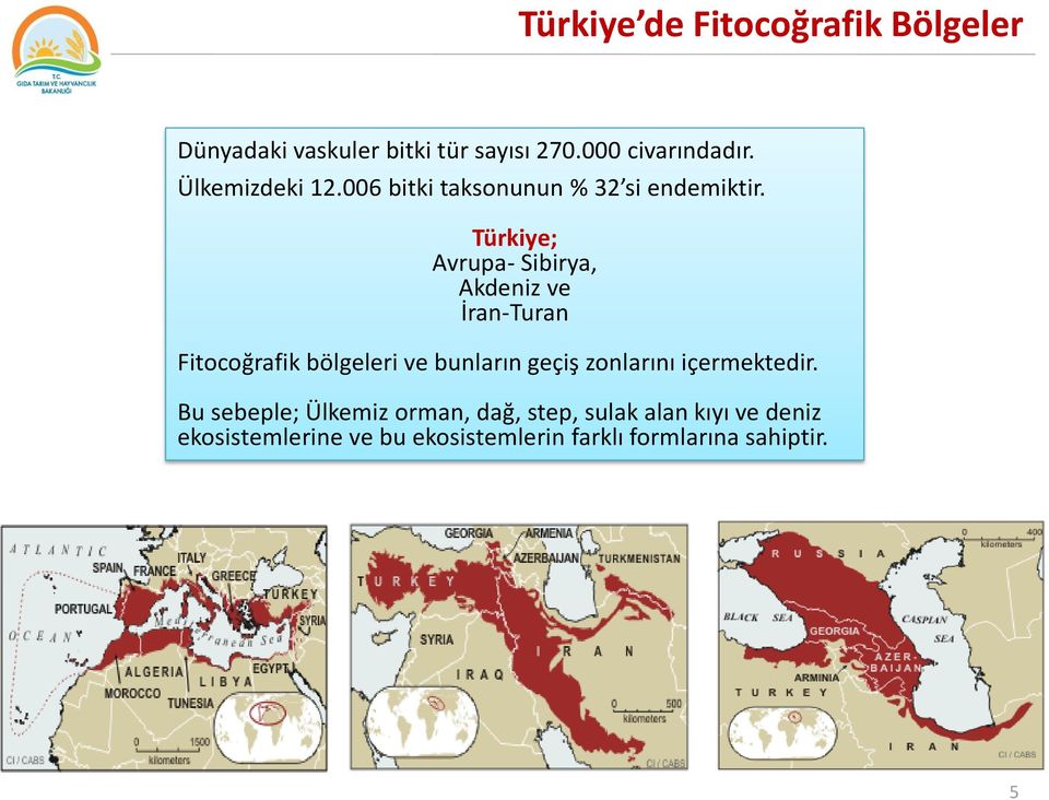 Türkiye; Avrupa- Sibirya, Akdeniz ve İran-Turan Fitocoğrafik bölgeleri ve bunların geçiş