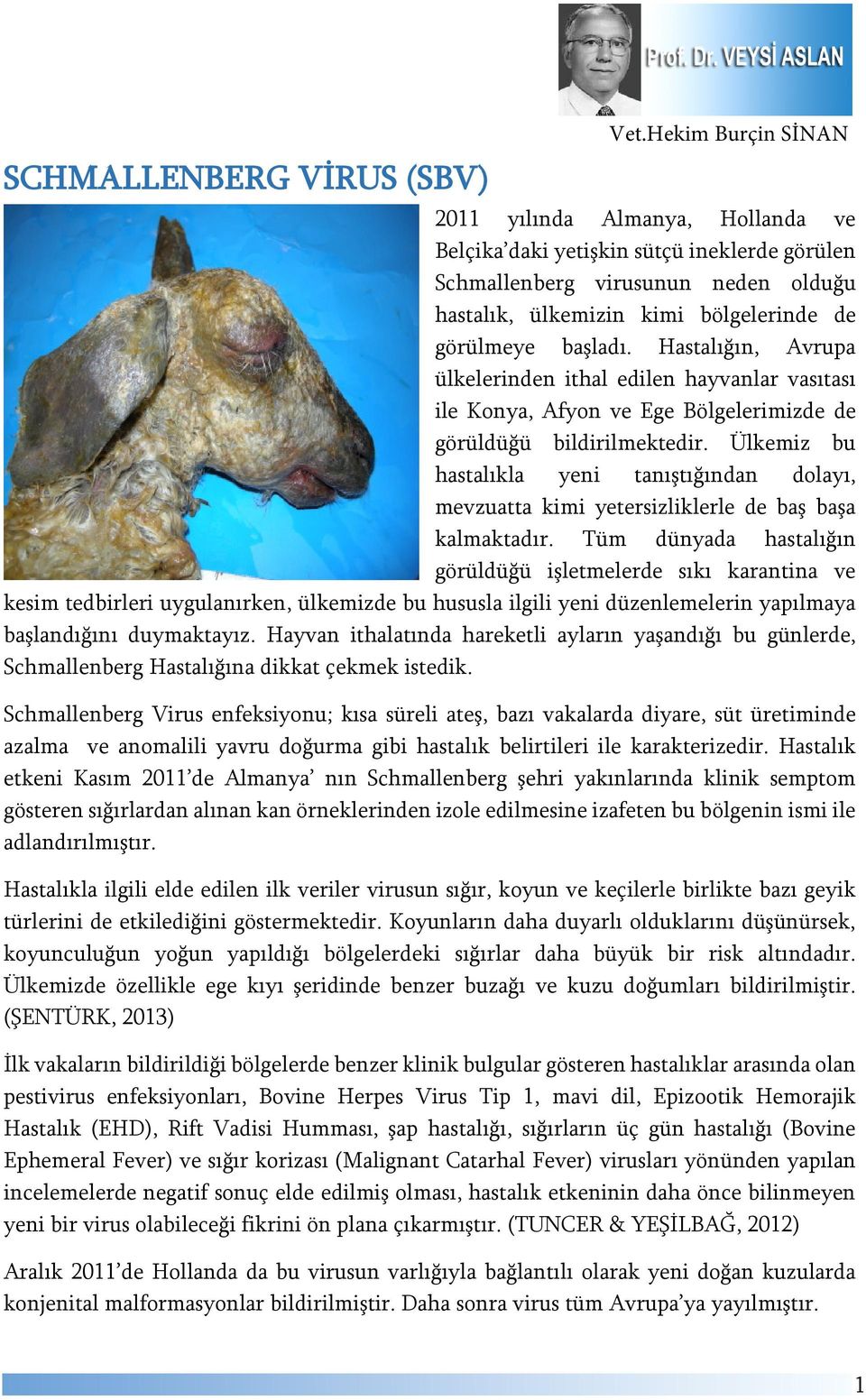 Hastalığın, Avrupa ülkelerinden ithal edilen hayvanlar vasıtası ile Konya, Afyon ve Ege Bölgelerimizde de görüldüğü bildirilmektedir.