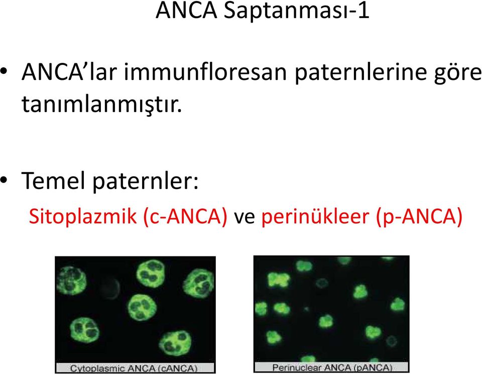 tanımlanmıştır.