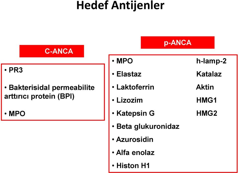 Laktoferrin Lizozim Katepsin G Beta glukuronidaz