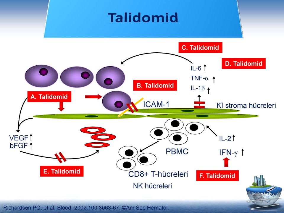 PBMC IL-2 IFN- E. Talidomid CD8+ T-hücreleri NK hücreleri F.