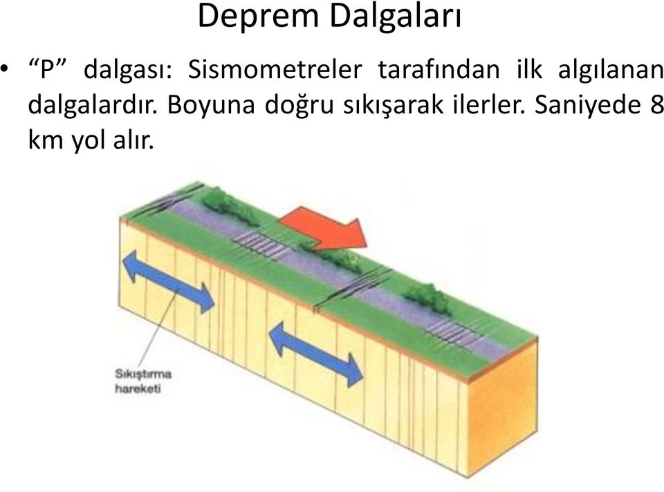 algılanan dalgalardır.