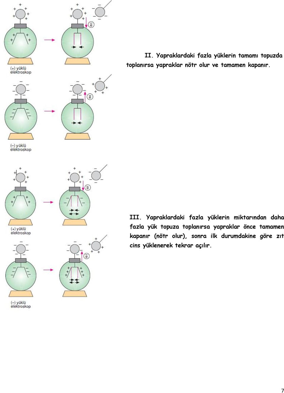 Yapraklardaki fazla yüklerin miktarından daha fazla yük topuza