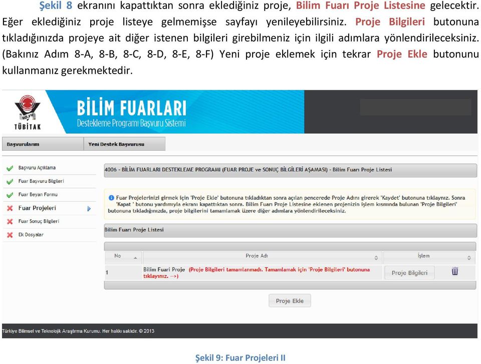 Proje Bilgileri butonuna tıkladığınızda projeye ait diğer istenen bilgileri girebilmeniz için ilgili adımlara