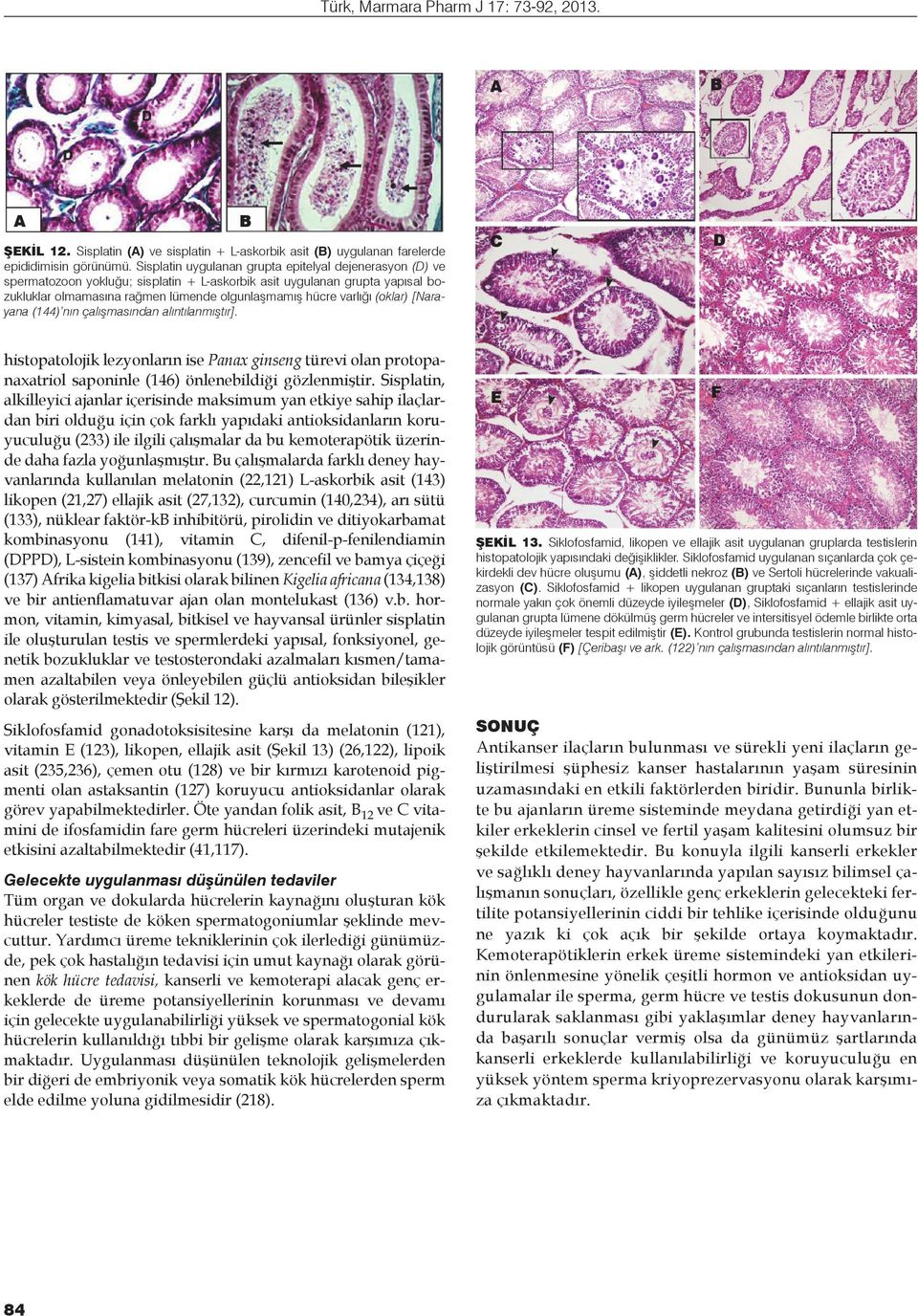 (oklar) [Narayana (144) nın çalışmasından alıntılanmıştır]. histopatolojik lezyonların ise Panax ginseng türevi olan protopanaxatriol saponinle (146) önlenebildiği gözlenmiştir.