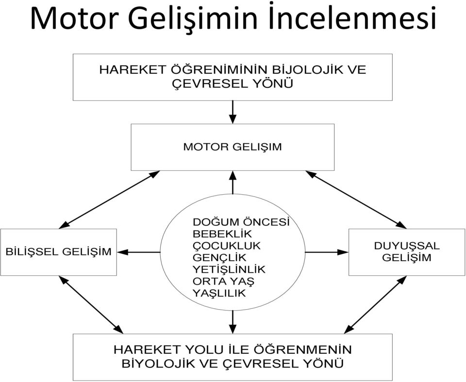 BEBEKLİK ÇOCUKLUK GENÇLİK YETİŞLİNLİK ORTA YAŞ YAŞLILIK