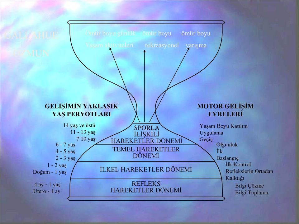 1 yaş Utero - 4 ay SPORLA İLİŞKİLİ HAREKETLER DÖNEMİ TEMEL HAREKETLER DÖNEMİ İLKEL HAREKETLER DÖNEMİ REFLEKS HAREKETLER