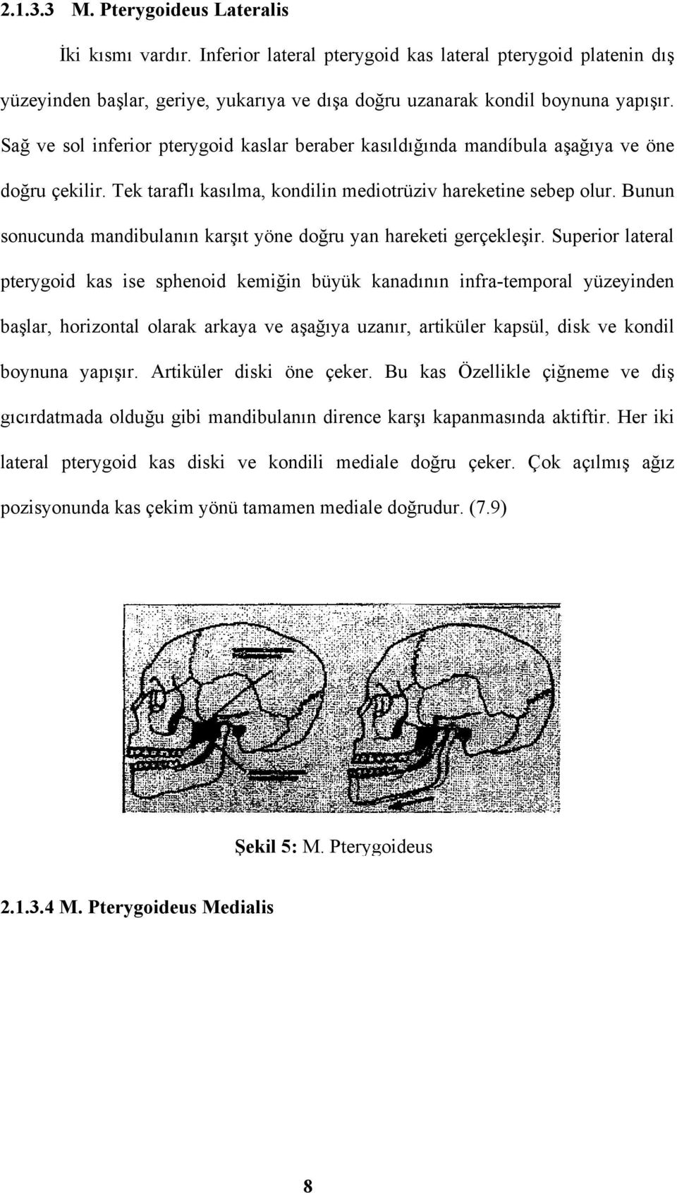 Bunun sonucunda mandibulanın karşıt yöne doğru yan hareketi gerçekleşir.