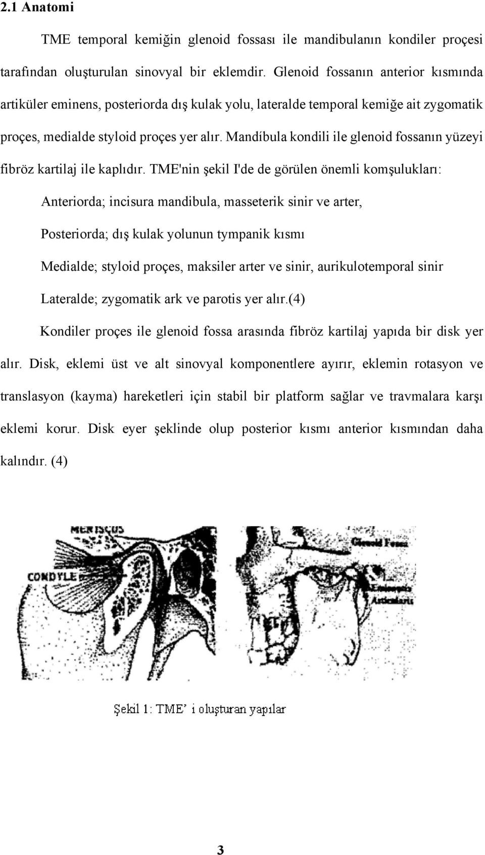 Mandíbula kondili ile glenoid fossanın yüzeyi fibröz kartilaj ile kaplıdır.