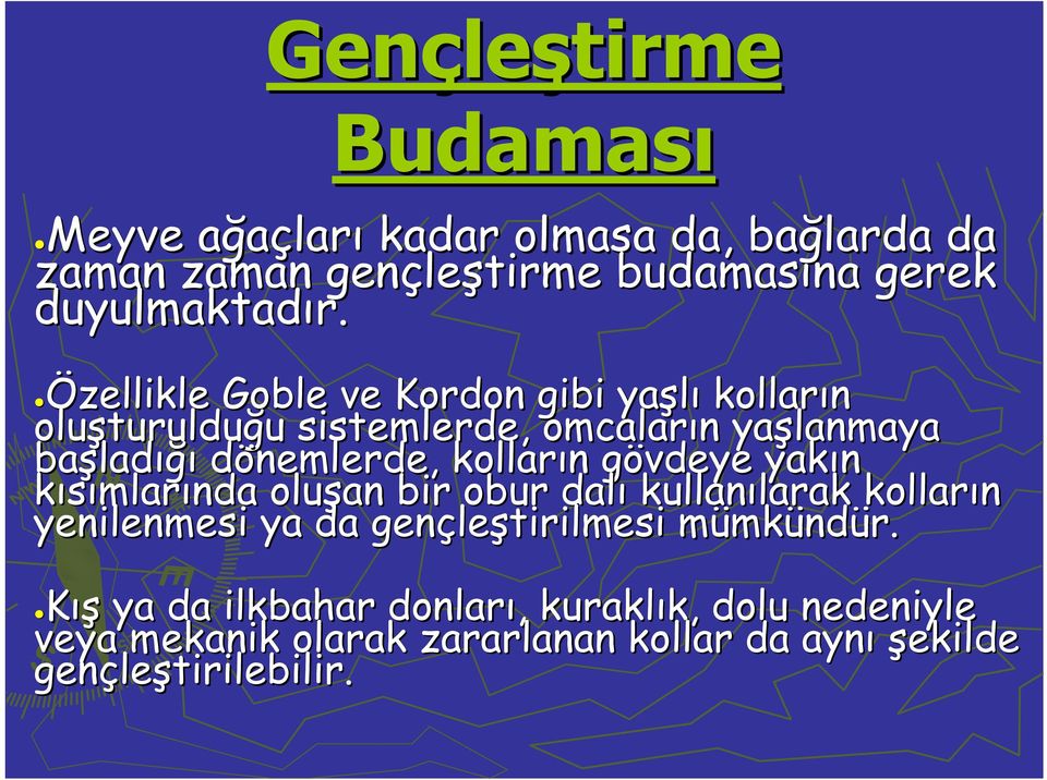 Özellikle zellikle Goble ve Kordon gibi yaşlı kolların oluşturuldu turulduğu u sistemlerde, omcaların n yaşlanmaya başlad ladığı